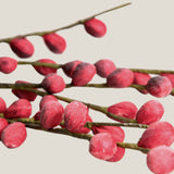 Maroon Berry Branch