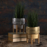 Trellis Gold Planter