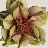 Yellow Primsrose Faux Flower