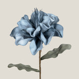 Blue Canna Foam Flower