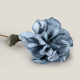 Blue Canna Foam Flower