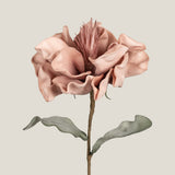 Blush Canna Foam Flower