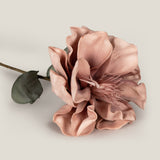 Blush Canna Foam Flower