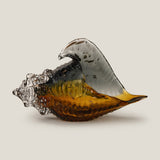 Shell Amber Decor L