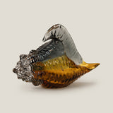 Shell Amber Decor L
