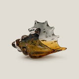 Shell Amber Decor S
