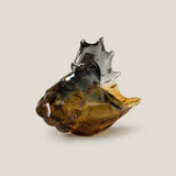 Shell Amber Decor S