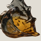 Shell Amber Decor S