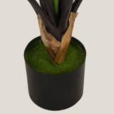 Green Colocasia Potted Tree S Online Shopping in India