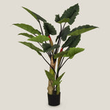 Colocasia Green Potted Tree Large