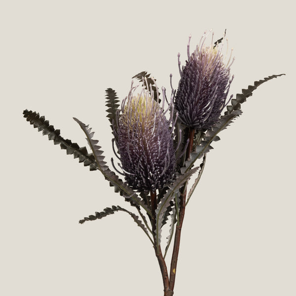 Buy Purple Hairpin Banksia Flower Online in India