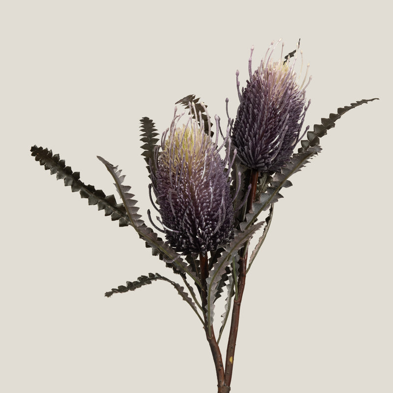 Buy Purple Hairpin Banksia Flower Online in India