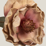 Peach Poppy Flower