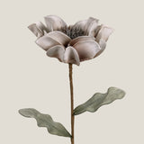 Grey Primsrose Foam Flower