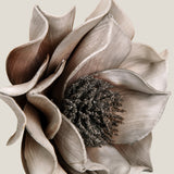 Grey Primsrose Foam Flower