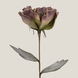 Plum Daffodil Foam Flower