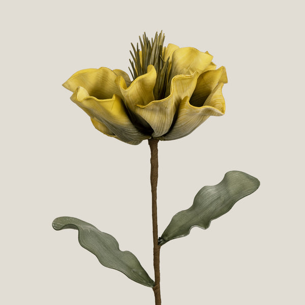Yellow Canna Flower