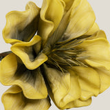 Yellow Canna Foam Flower