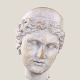 Venus White Sculpture S