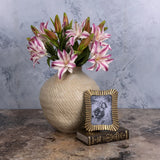 Pink Lily Blossom Flower