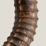 Tromba Natural Sculpture