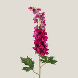 Pink Delphinium Flower