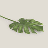 Green Oasis Monstera Leaf