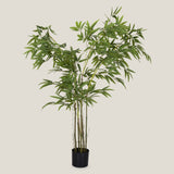 Bamboo Green Potted Tree