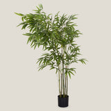 Bamboo Green Potted Tree