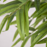 Bamboo Green Potted Tree