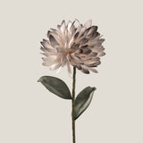 Coffee & Off White Chrysanthemum Foam Flower