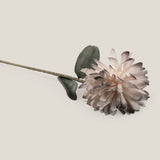 Coffee & Off White Chrysanthemum Foam Flower