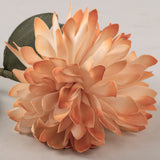 Orange & Off White Chrysanthemum Flower