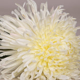Off White Crysanthemum Ball Faux Flower