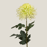 Green Crysanthemum Ball Faux Flower