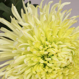 Green Crysanthemum Ball Faux Flower