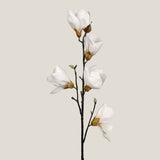 Magnolia White Flower Branch