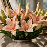 Asiatic Orange Lily Flower