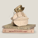 Luxura Hopper Gold & Off White Decor