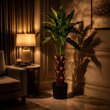 Nest Fern Green Potted Tree