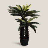 Sago Palm Green Potted Tree