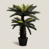 Sago Palm Green Potted Tree