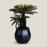 Sago Palm Green Potted Tree