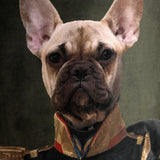 Canine Couture Brown Pouffe