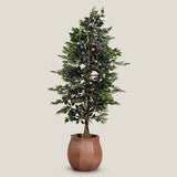 Ficus Green Potted Tree L