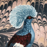 Stefano Multicolor Printed Cushion Cover