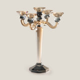 Jewel Champagne & Grey Crystal Candelabra
