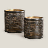 Shannan Gold Hurricane S