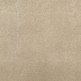 Midas Gold & Beige Placemat