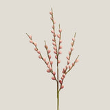 Pink Berry Branch